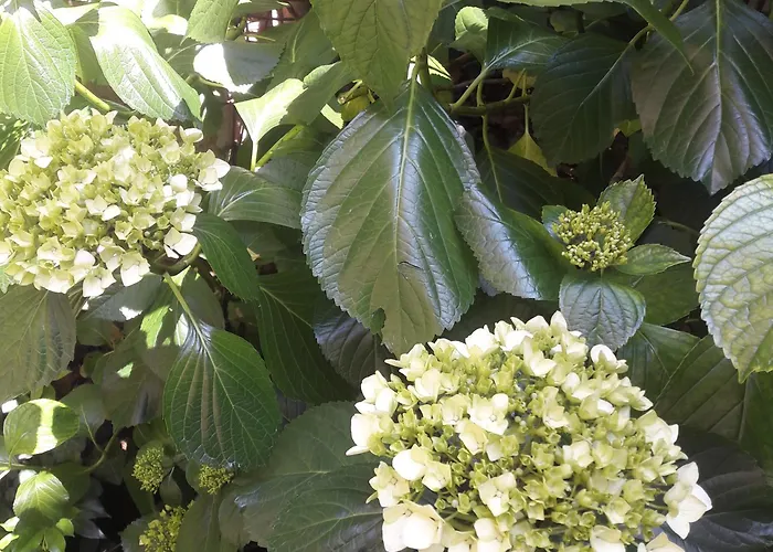 Giardino Segreto - History And Design * بولونيا