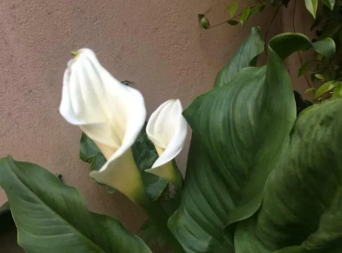 شقة Giardino Segreto - History And Design بولونيا