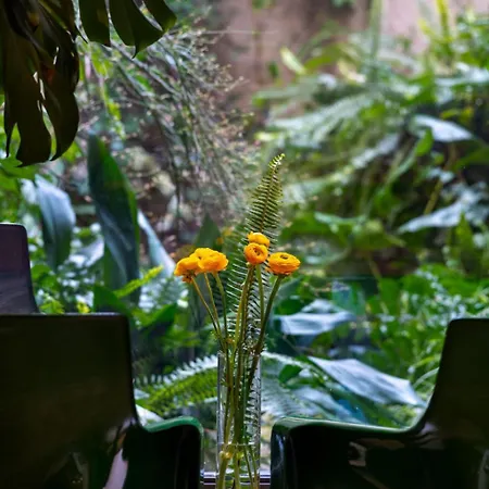 Giardino Segreto - History And Design * Bologna