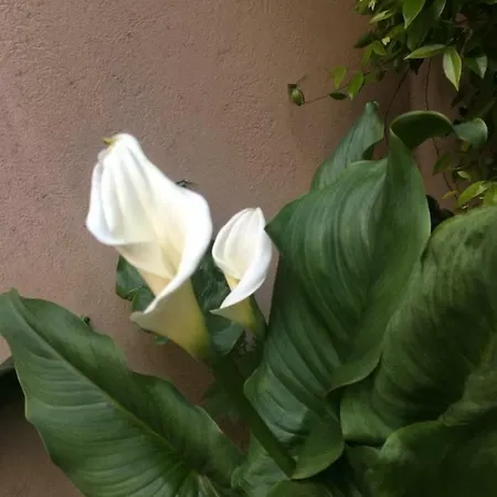 Apartmán Giardino Segreto - History And Design Boloňa