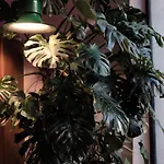 Giardino Segreto - History And Design Bologna