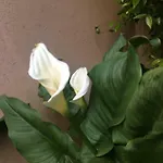 Apartment Giardino Segreto - History And Design Bologna